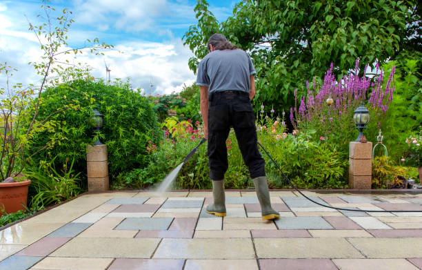 Animal Enclosure Cleaning in East Greenville, PA